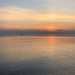 Meet your Posher, Diella